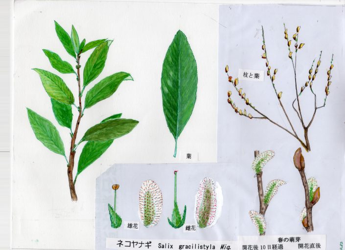 Ab07_EyeCatch-e1521726246935-